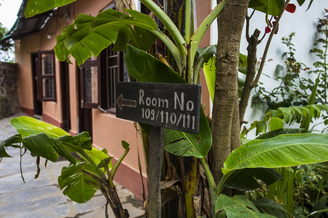 Accommodation